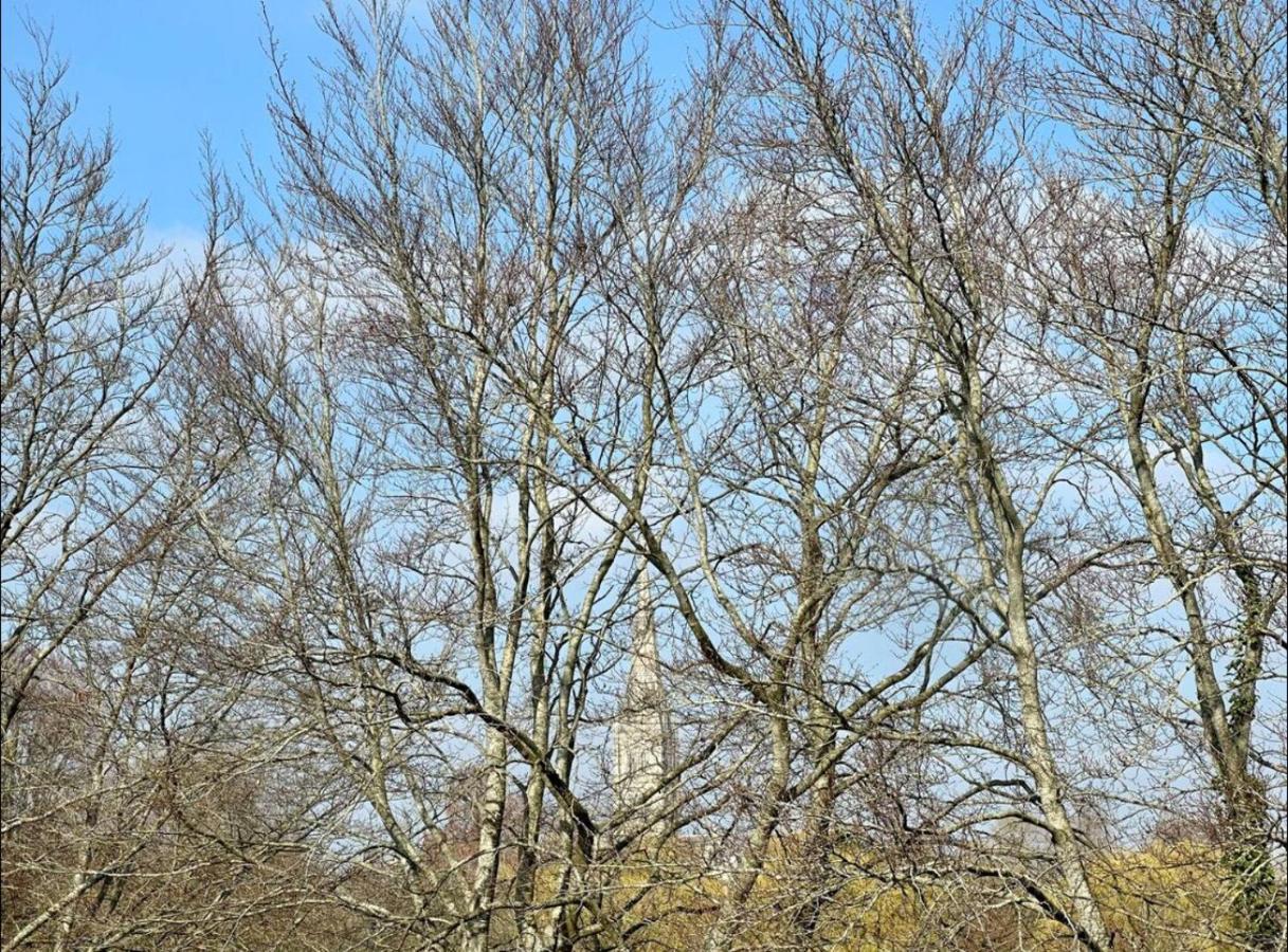Close To Salisbury Cathedral Exterior foto